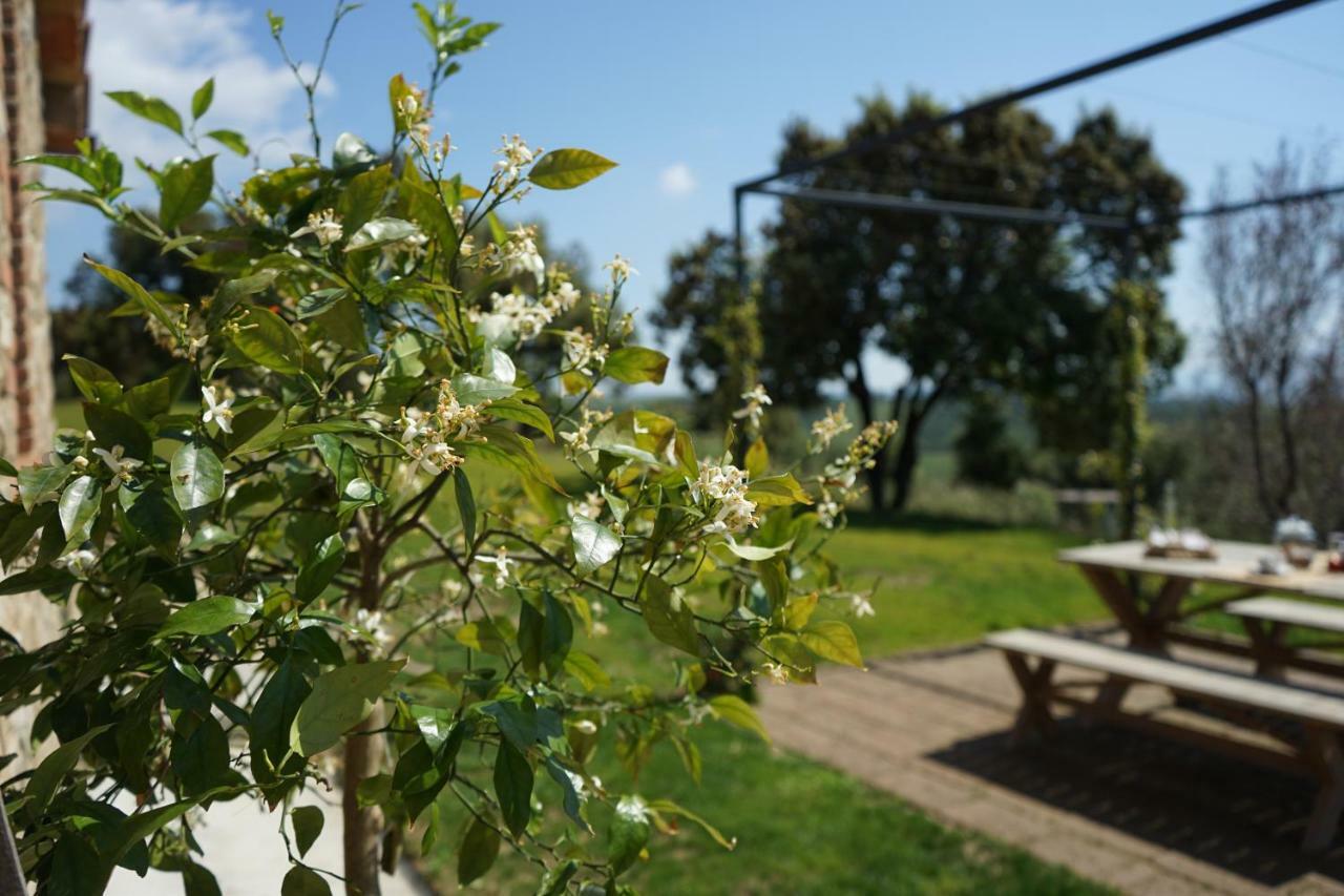 Marrucheti 82 Villa Campagnatico Eksteriør bilde